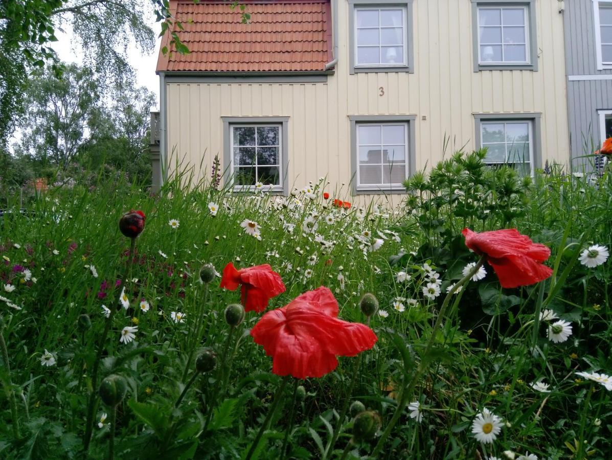 B&B Lilla Lotten Ostersund Exterior photo